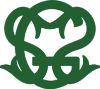Saifiyah Girls Talim Trust logo